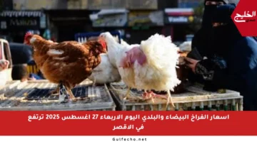 أسعار الفراخ البيضاء والبلدي اليوم الأربعاء 27 أغسطس 2025 ترتفع في الأقصر